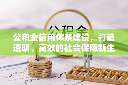 阿里公积金信用体系建设，打造透明、高效的社会保障新生态