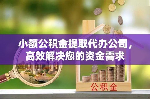 阿里小额公积金提取代办公司，高效解决您的资金需求