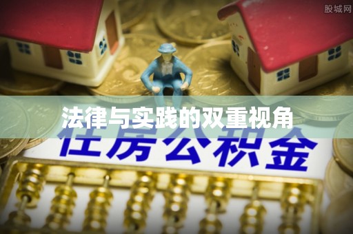 阿里法律与实践的双重视角