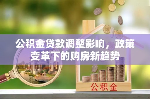 阿里公积金贷款调整影响，政策变革下的购房新趋势