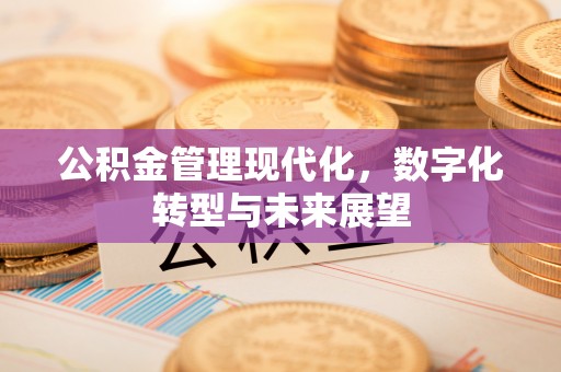 阿里公积金管理现代化，数字化转型与未来展望