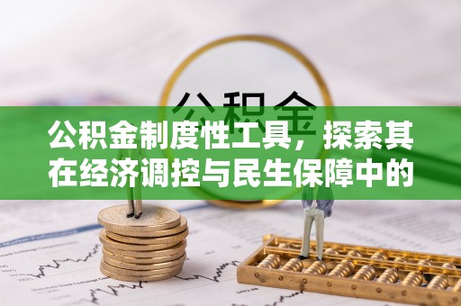 阿里公积金制度性工具，探索其在经济调控与民生保障中的重要作用